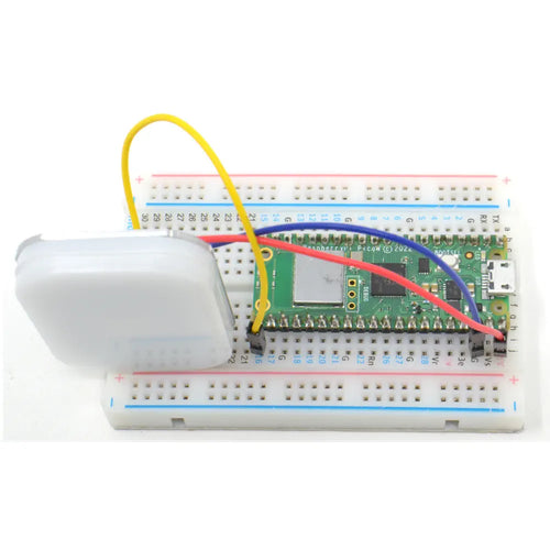 Monk Makes Illuminata Monk Makes Illuminata