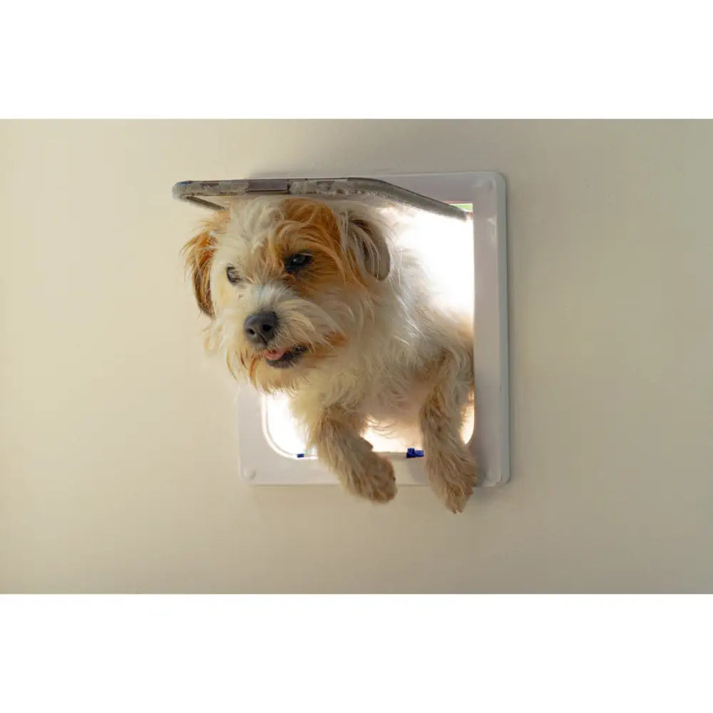 Cat Mate Large Cat Flap White 221W RobotShop