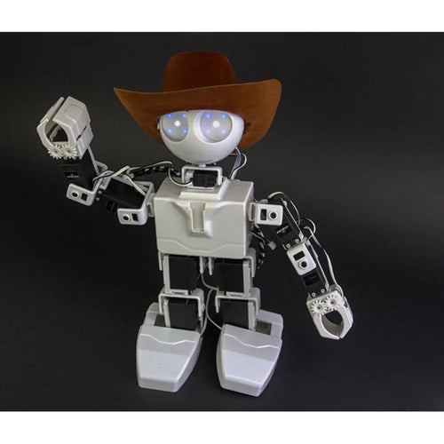 EZ-Robot JD Humanoid Robot