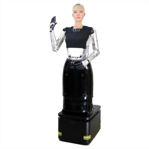 Hanson Robotics Sophia 2020, R&D Version RobotShop