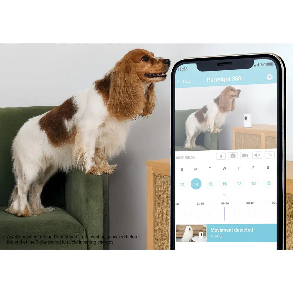 Instachew Purrsight 360° Smart App Pet Camera w/ Night Vision & 2 Way Audio