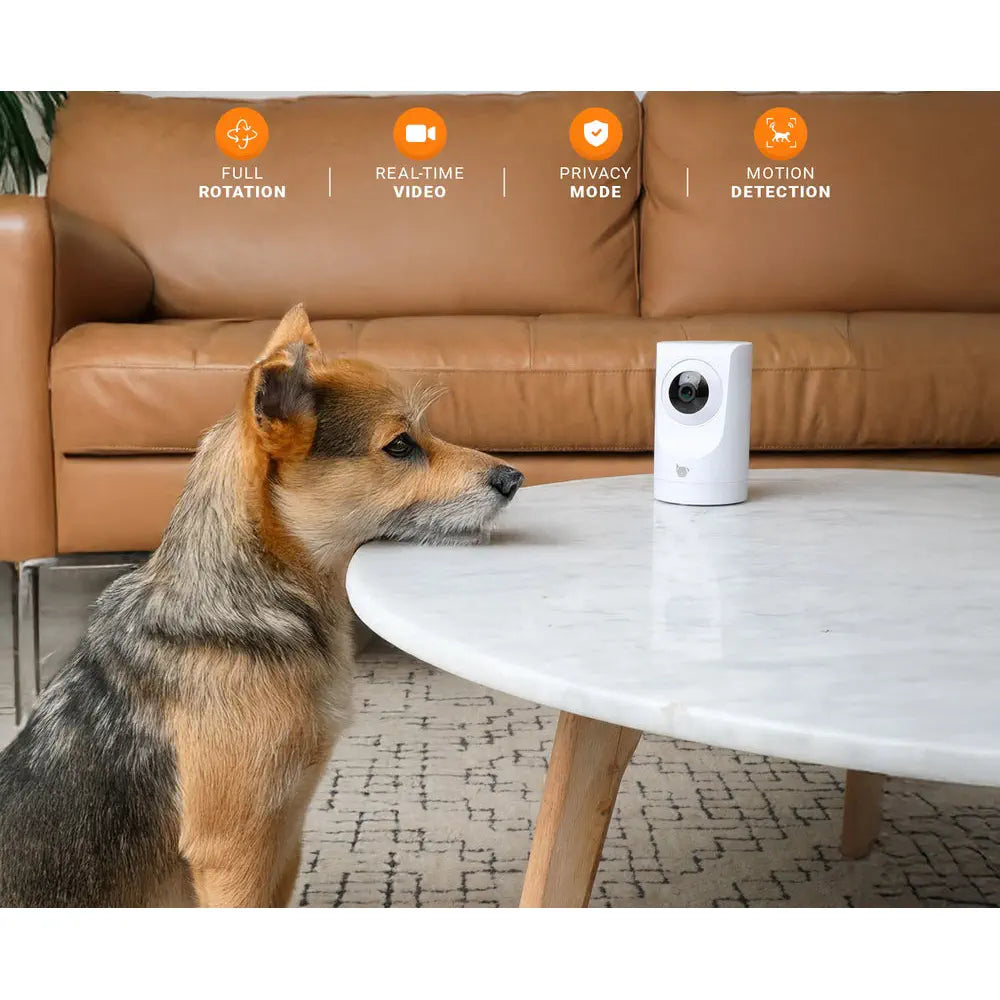 Instachew Purrsight 360° Smart App Pet Camera w/ Night Vision & 2 Way Audio