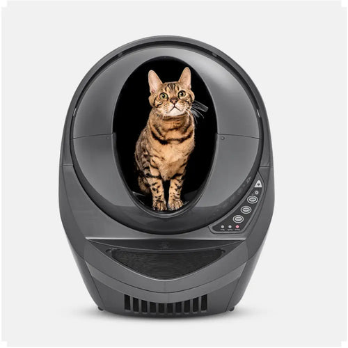Electronic litter box online