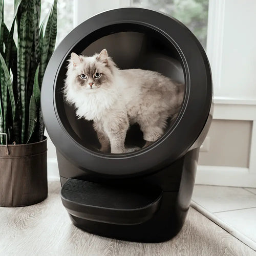 Litter Robot 4 Automatic Self Cleaning Litter Box Black Bundle EU RobotShop