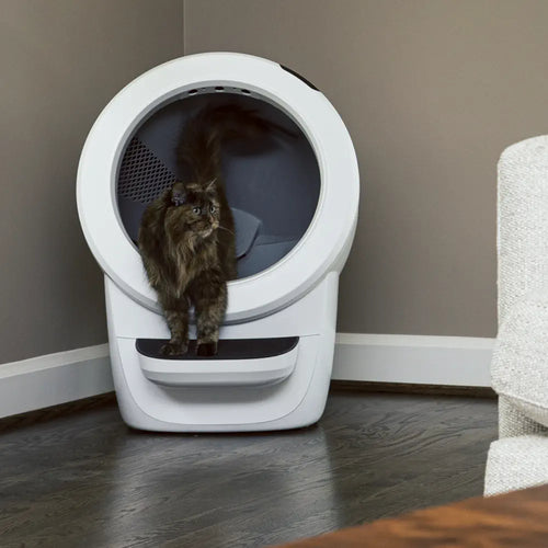 Litter-Robot 4 Automatic Self-Cleaning Litter Box – White Bundle (EU)