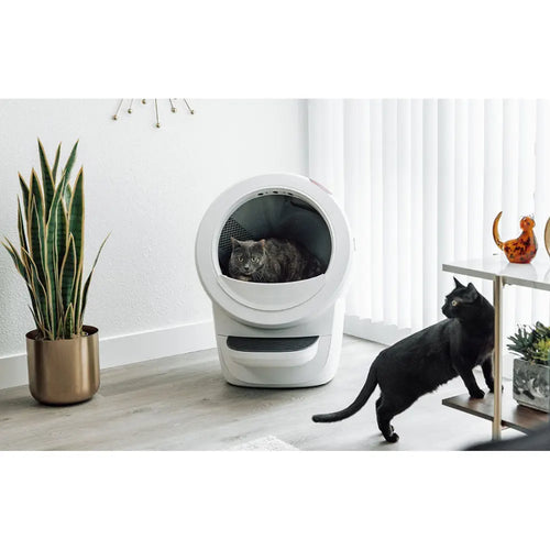 Litter Robot 4 Fence White RobotShop