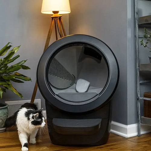 Litter-Robot 4 Automatic Self-Cleaning Litter Box - Black (EU) (Refurbished)