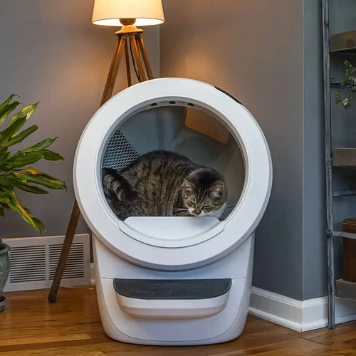 Litter-Robot 4 Automatic Self-Cleaning Litter Box - White (EU) (Refurbished)