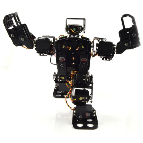 Lynxmotion Pete Humanoid Development Platform (No Electronics)