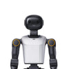 Booster Robotics K1 Educational Humanoid Robot