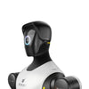 AgiBot G2 Wheeled Humanoid Robot (EU)