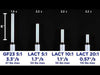 RB-Pol-662 - Video