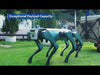 RB-Dot-95 - Video