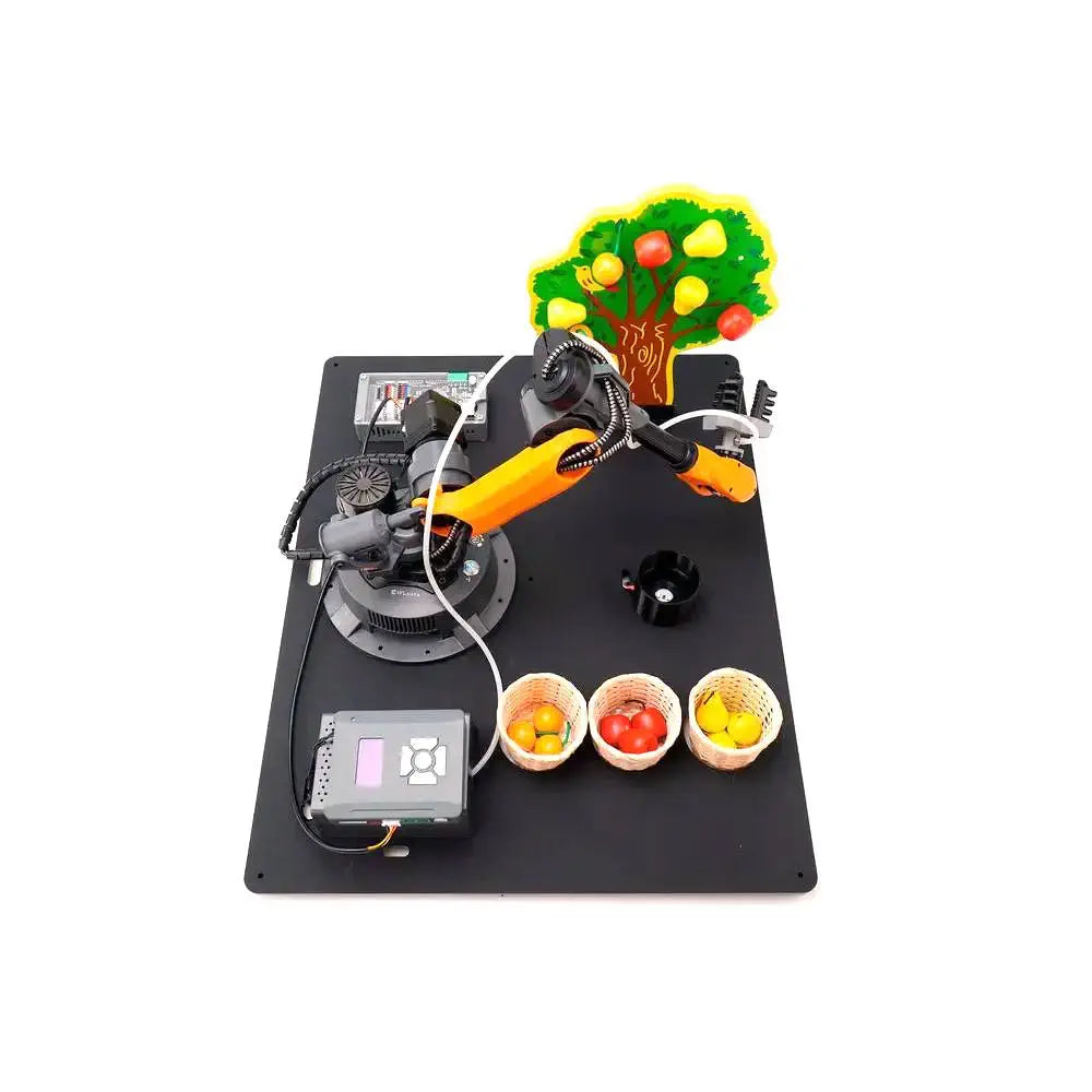 WLKATA Robotics Fruit Picking Line (UK Market)