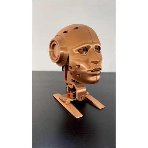 Youbionic Robot Head